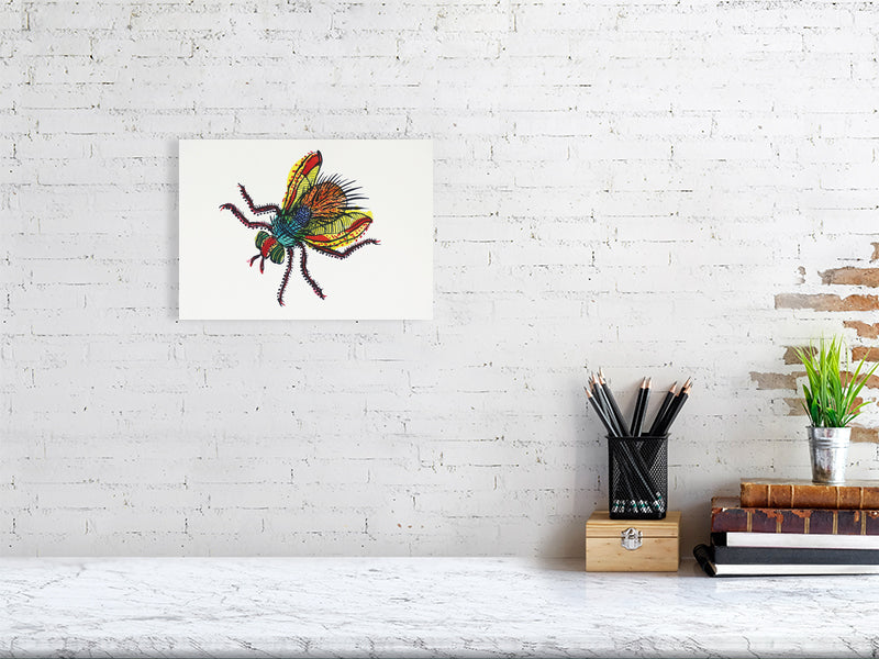 Bug Monaveen Giclée print A4 size by Maria Pelton showing insect character with personality inspired by wonder