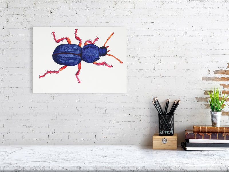 Bug Augustus Digby Giclée print A3 size by Maria Pelton showing insect character with personality inspired by wonder