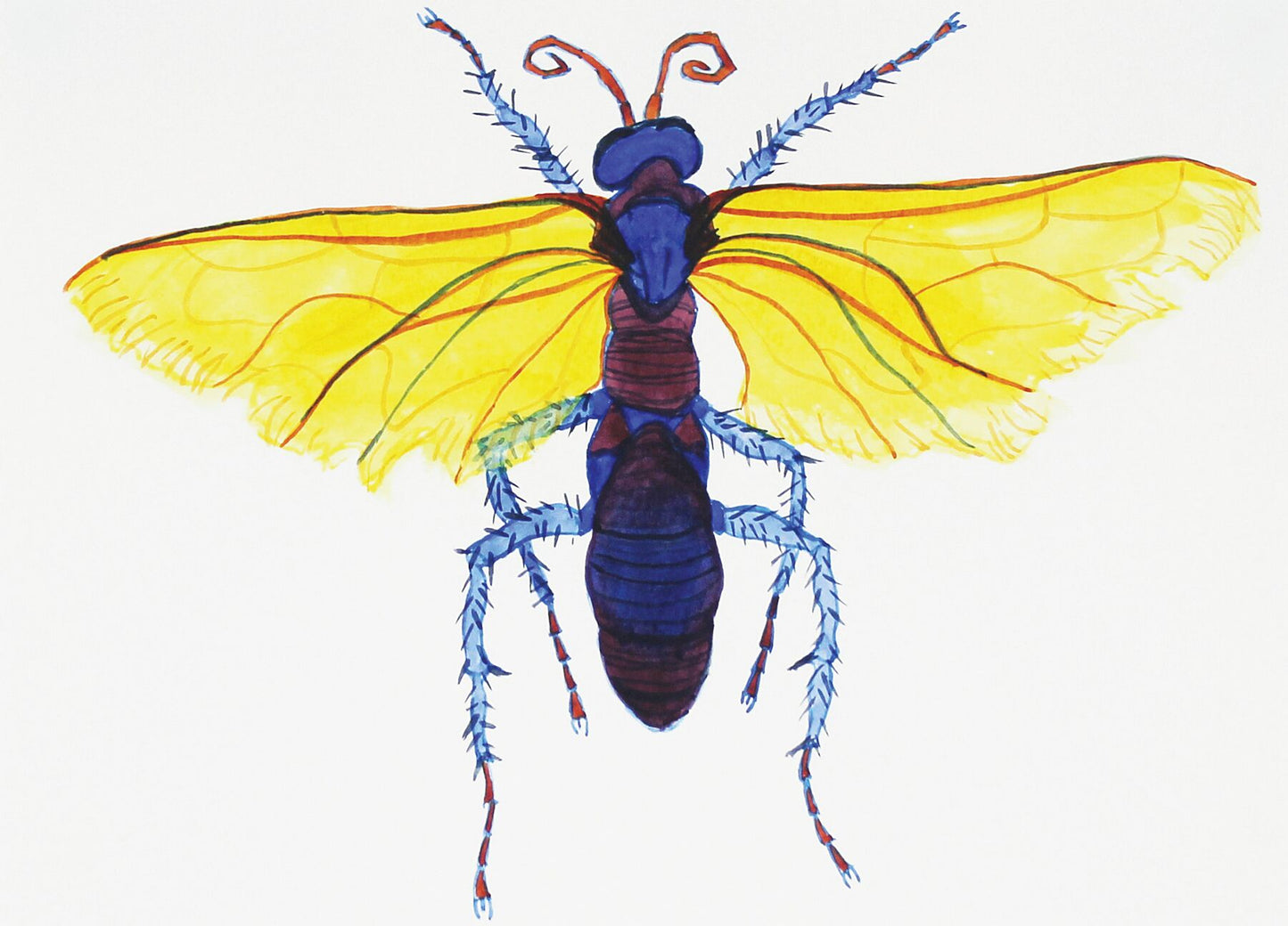 Bug Violetta watercolour painting by Maria Pelton showing insect character with personality inspired by wonder