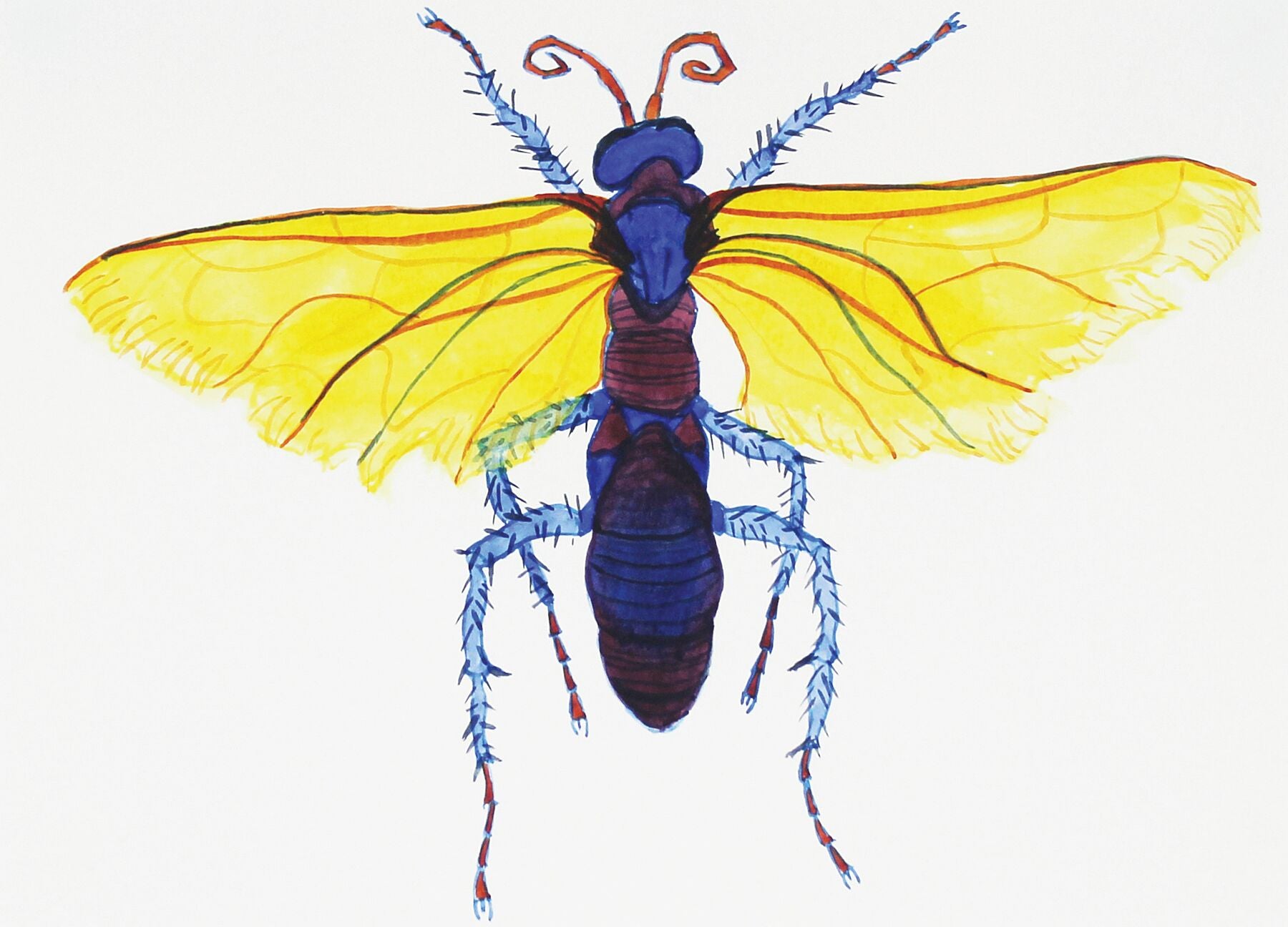 Bug Violetta watercolour painting by Maria Pelton showing insect character with personality inspired by wonder