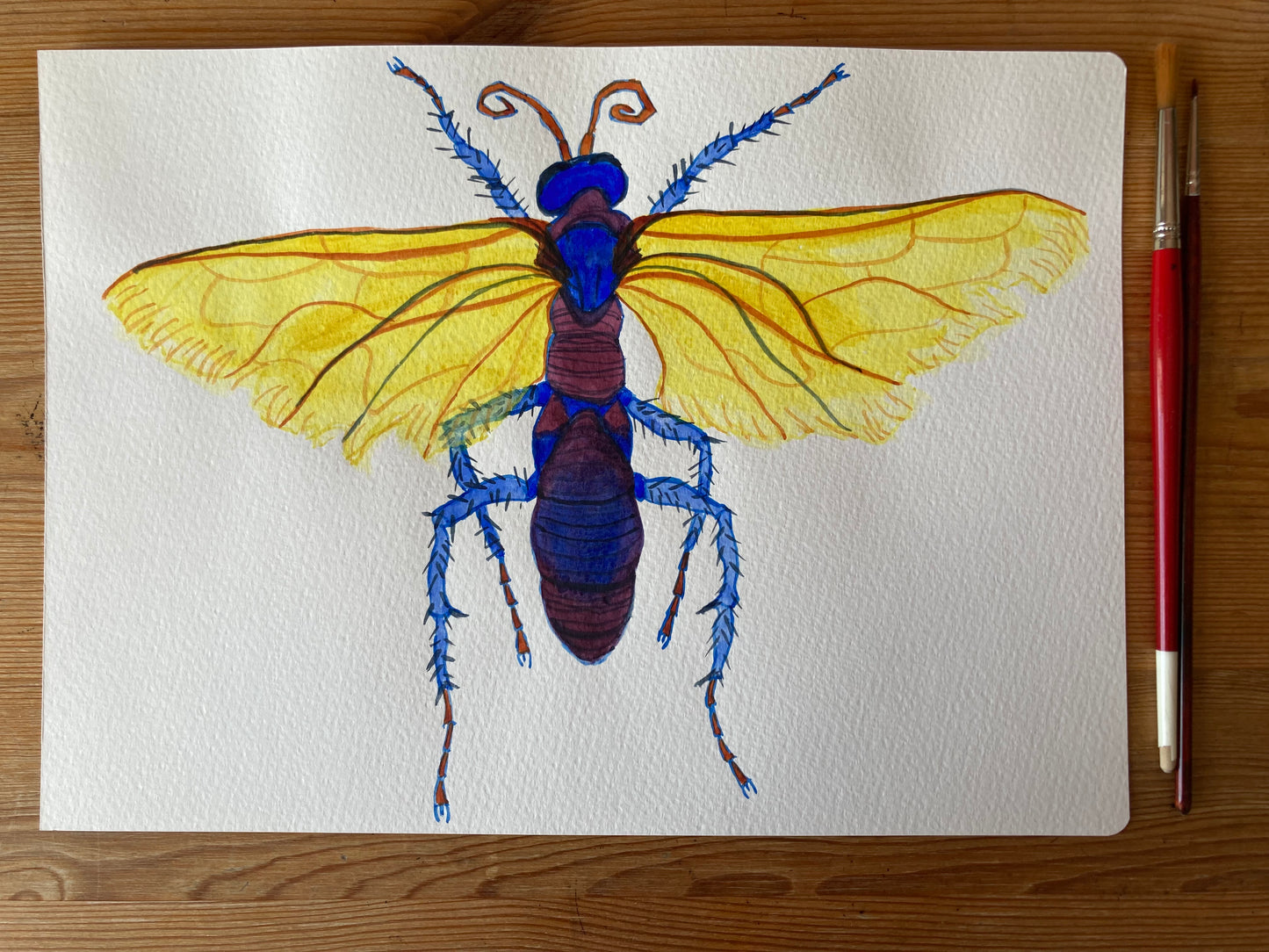Bug - Violetta | Watercolour on paper