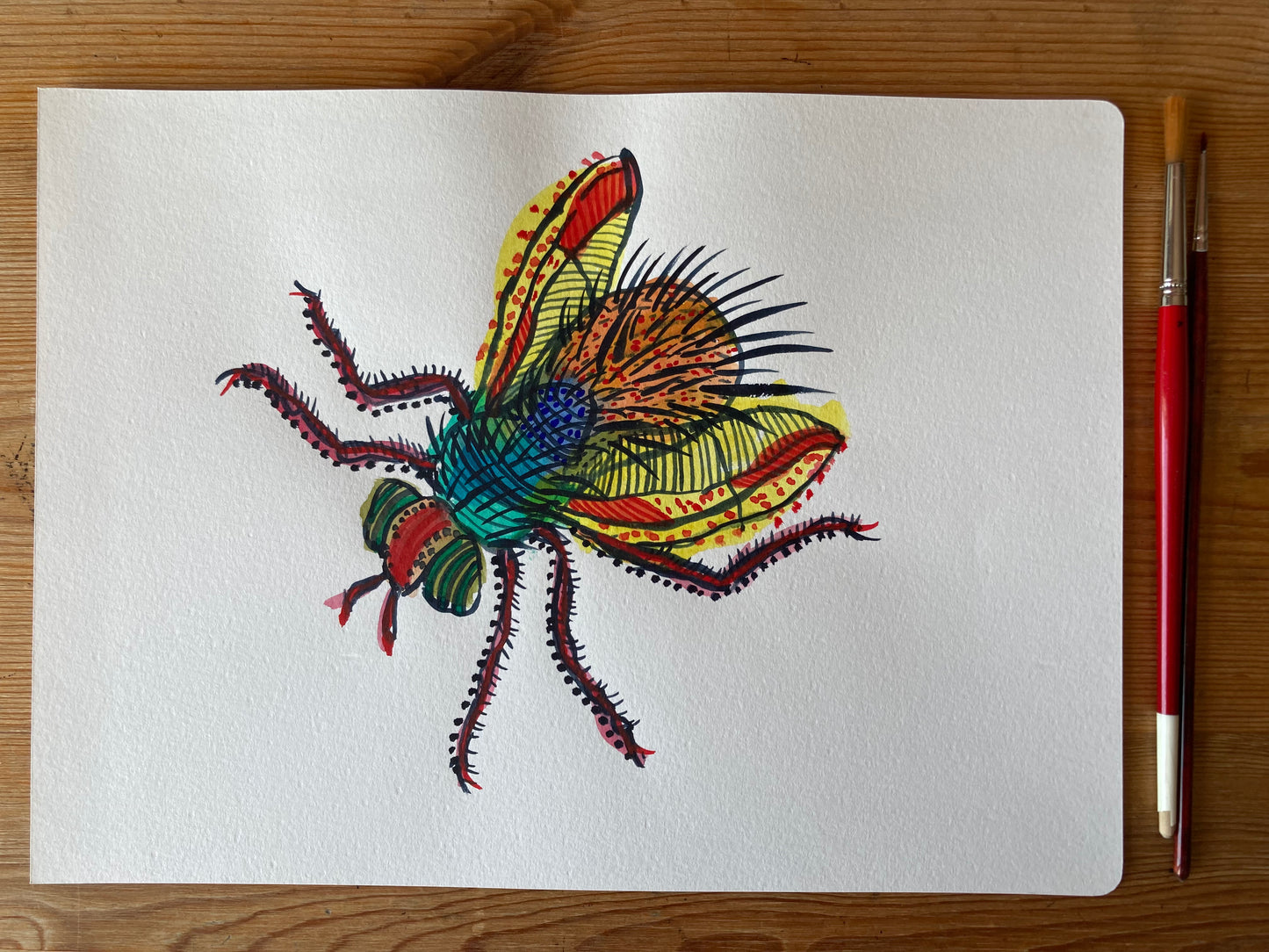Bug - Monaveen | Watercolour on paper
