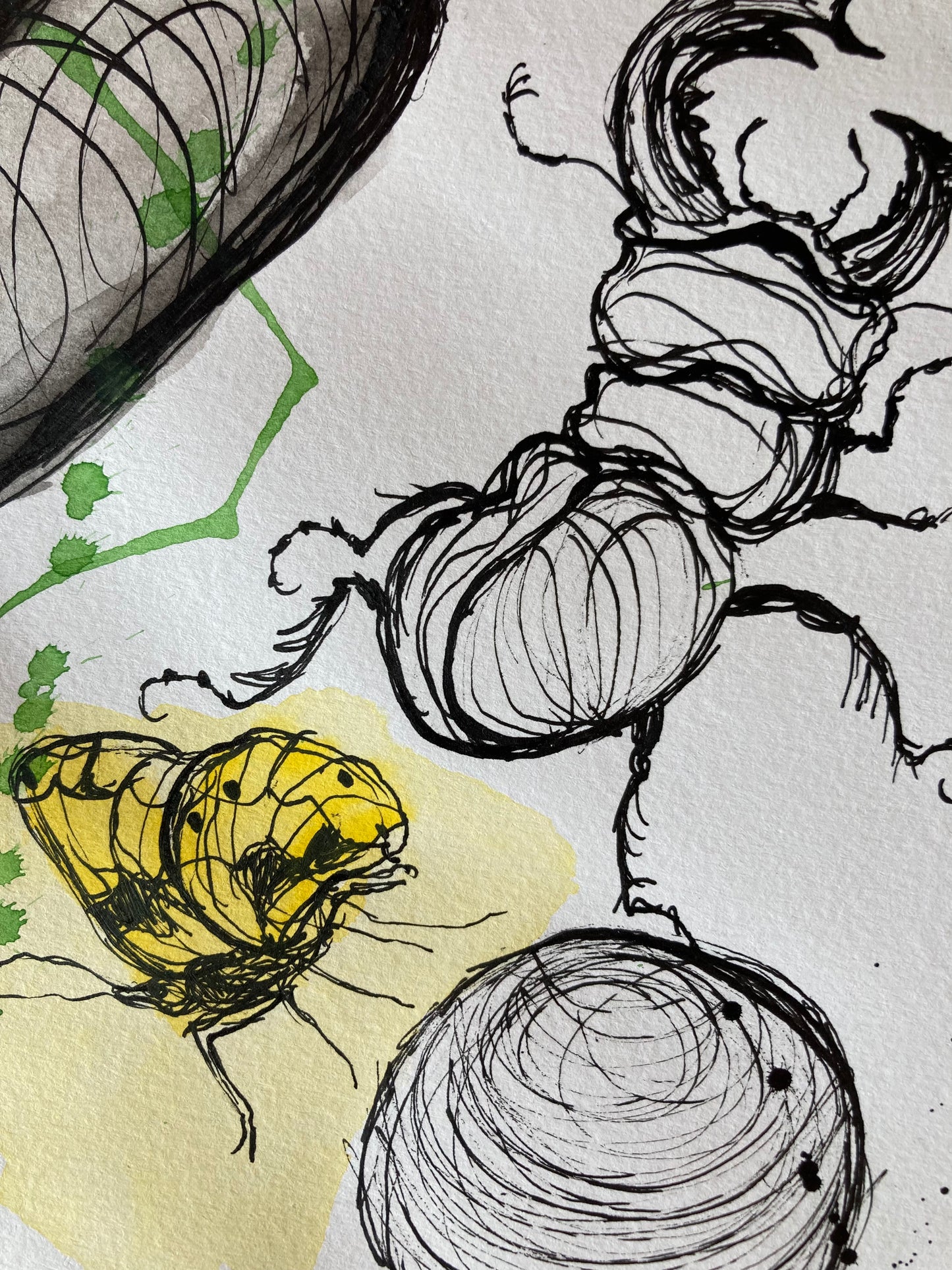 Combination present | Ink & watercolour on paper