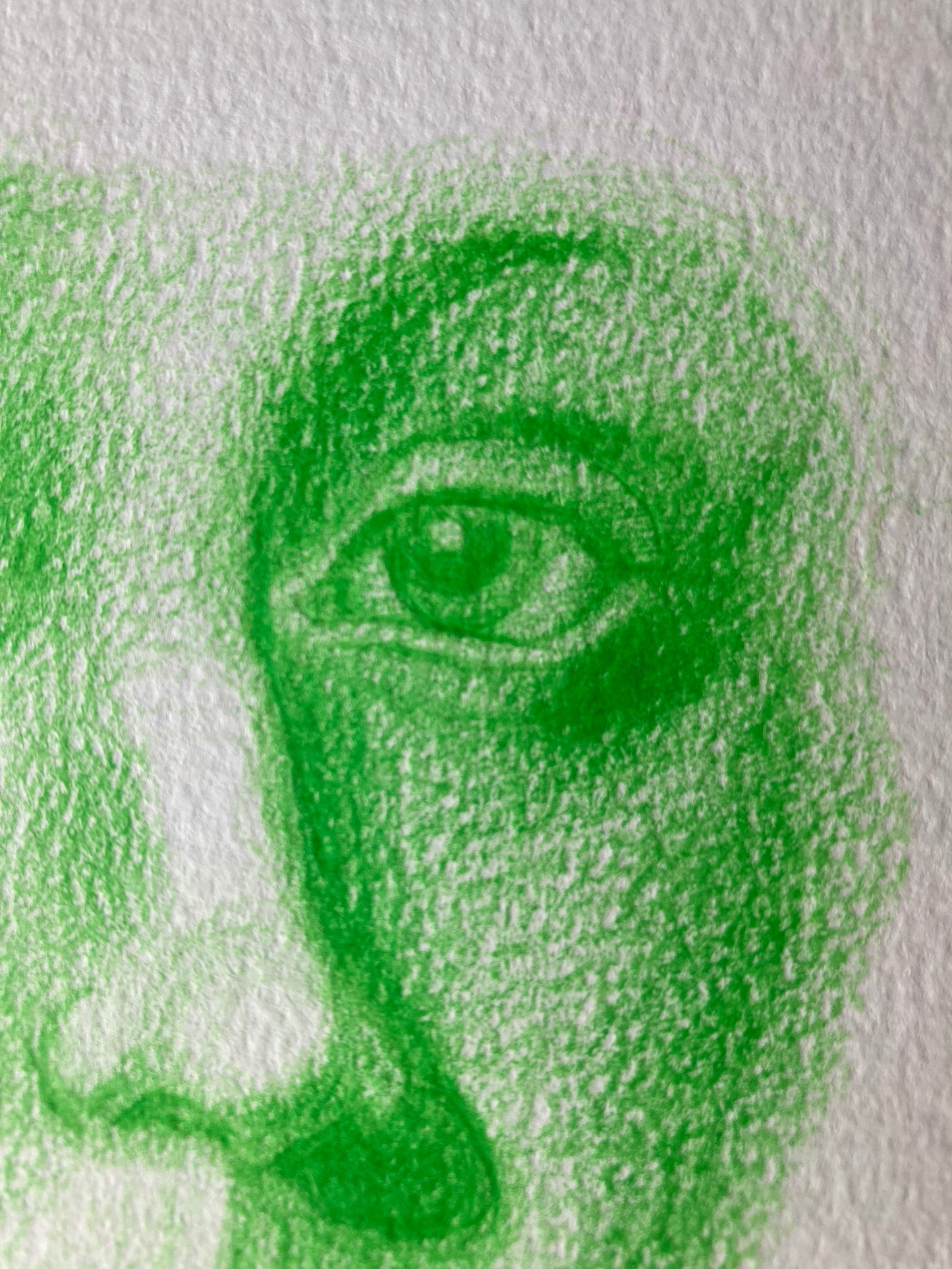 Fragment Study 5 | Coloured pencil on paper