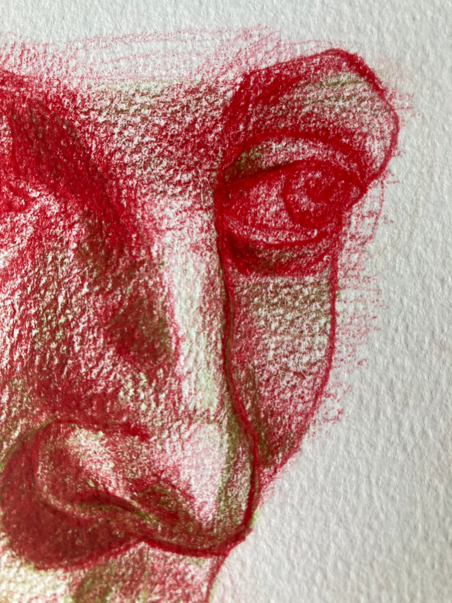 Fragment Study 6 | Coloured pencil on paper