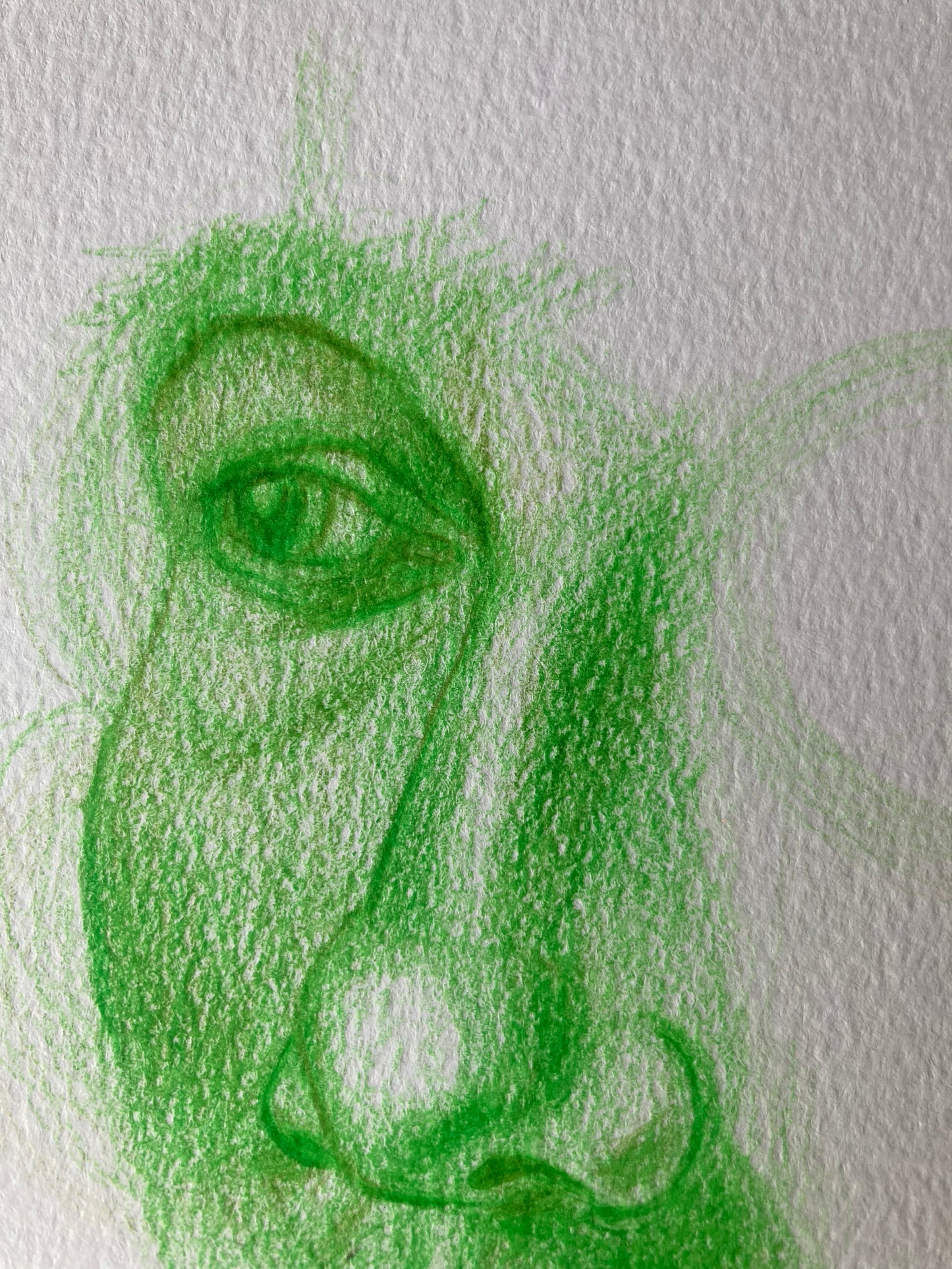 Fragment Study 3 | Coloured pencil on paper