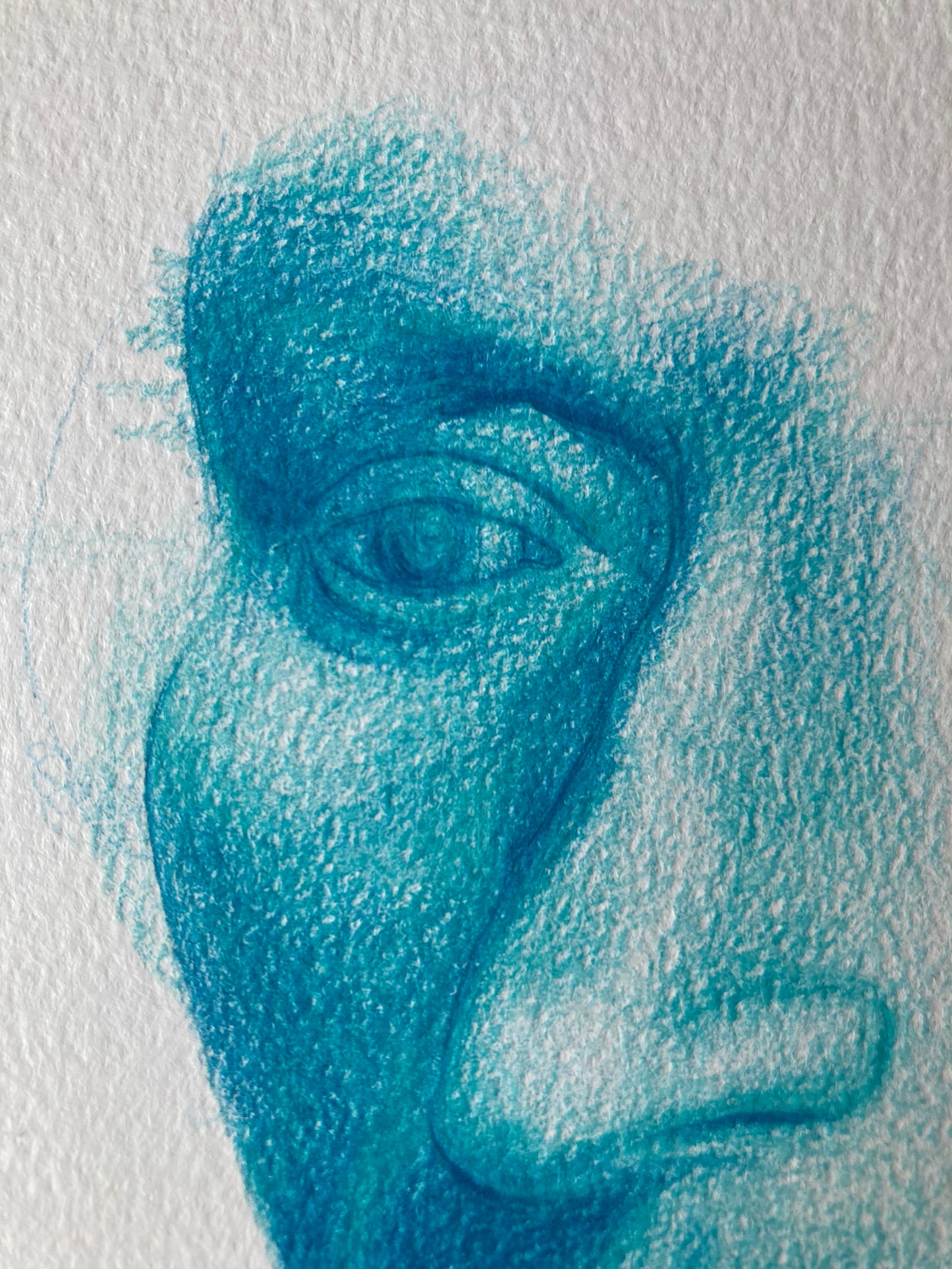 Fragment Study 2 | Coloured pencil on paper