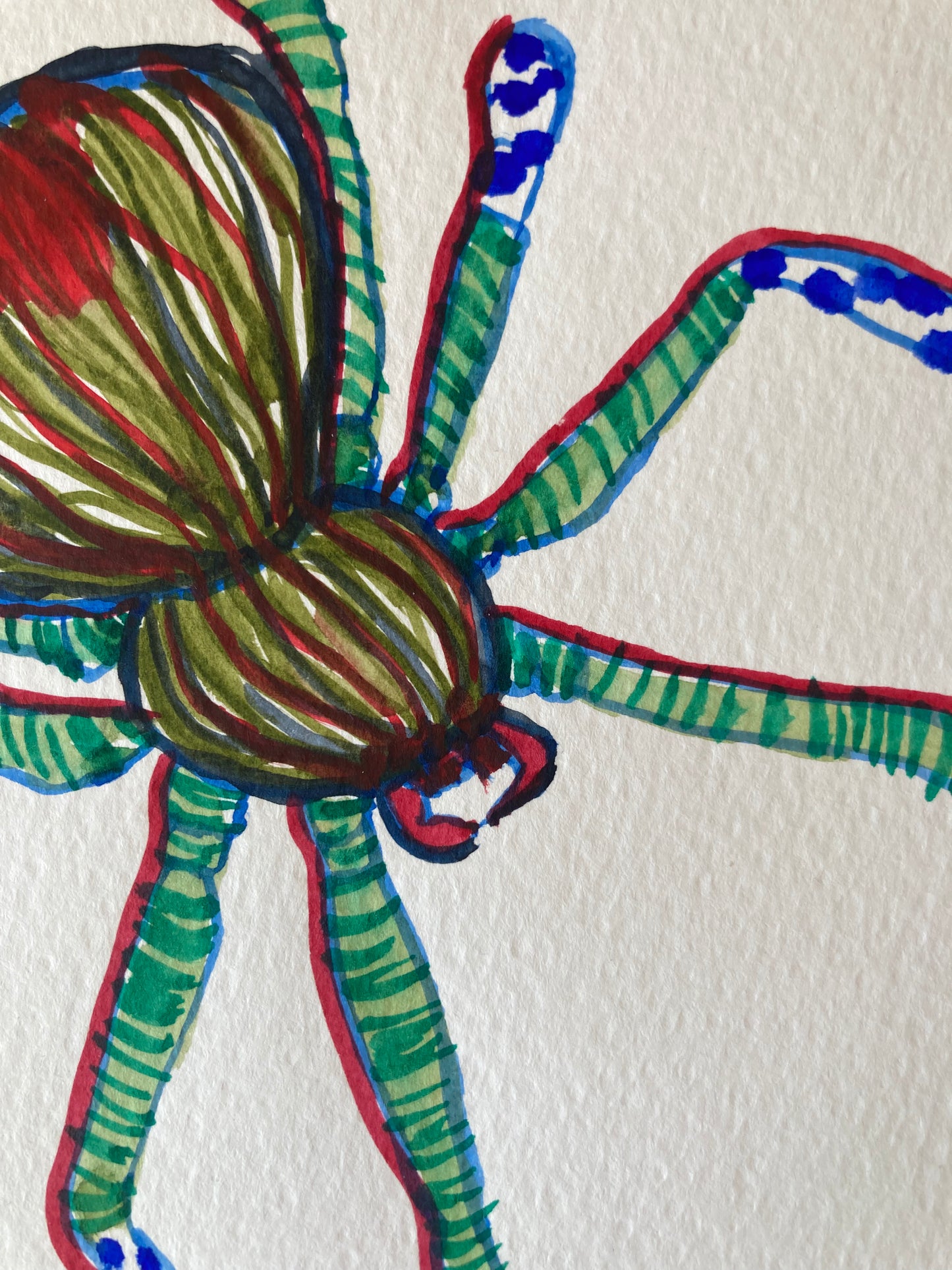 Bug - Amadeus | Watercolour on paper