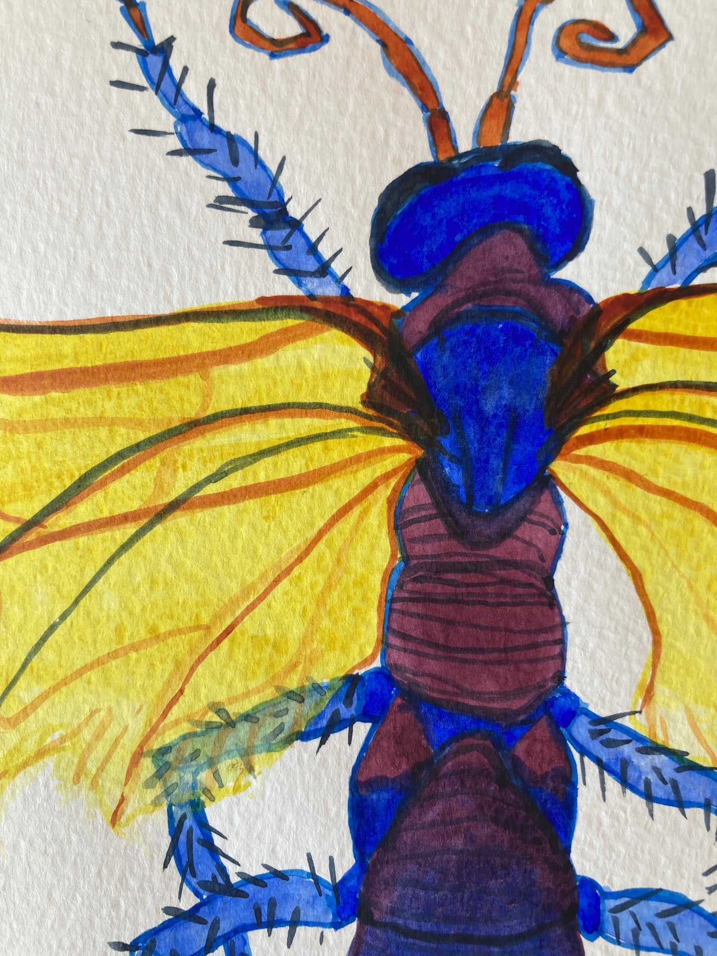 Bug - Violetta | Watercolour on paper