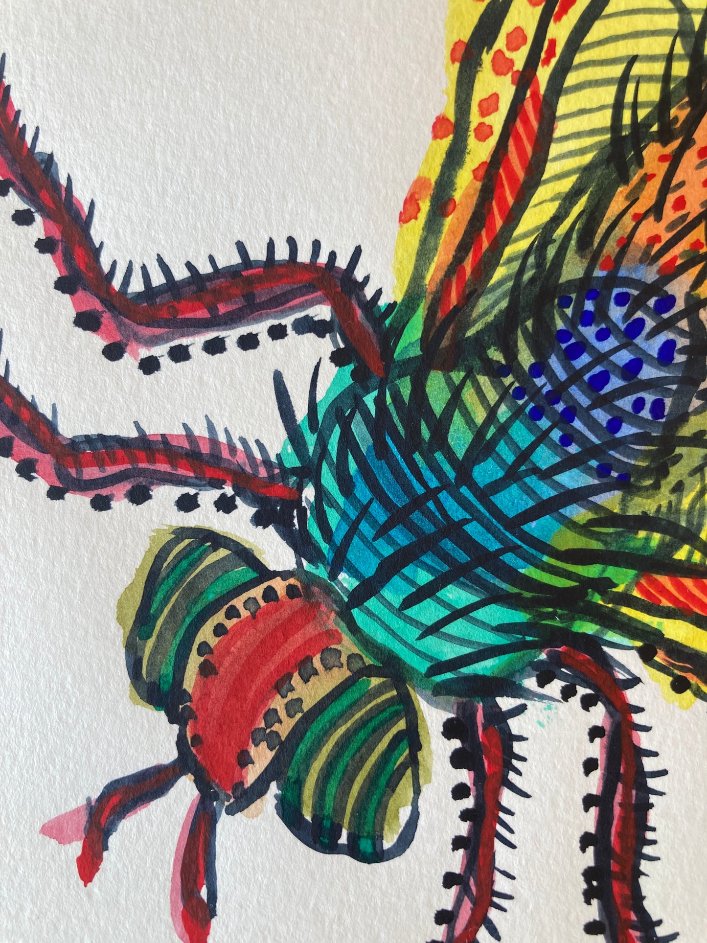 Bug - Monaveen | Watercolour on paper