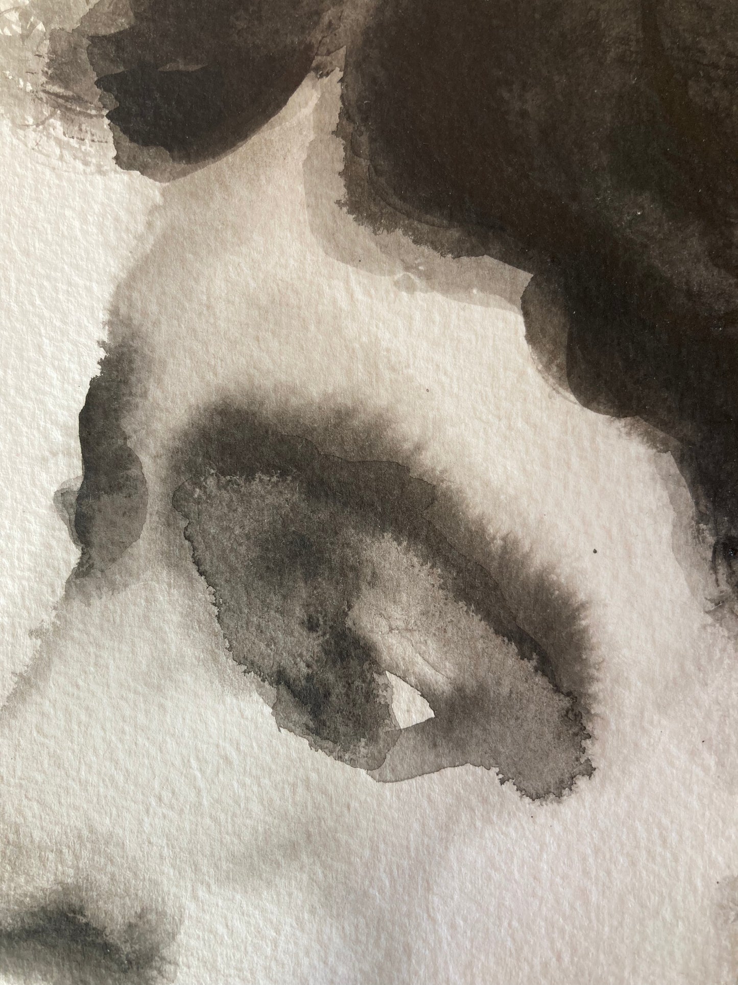 Robin Claude | Ink on Paper