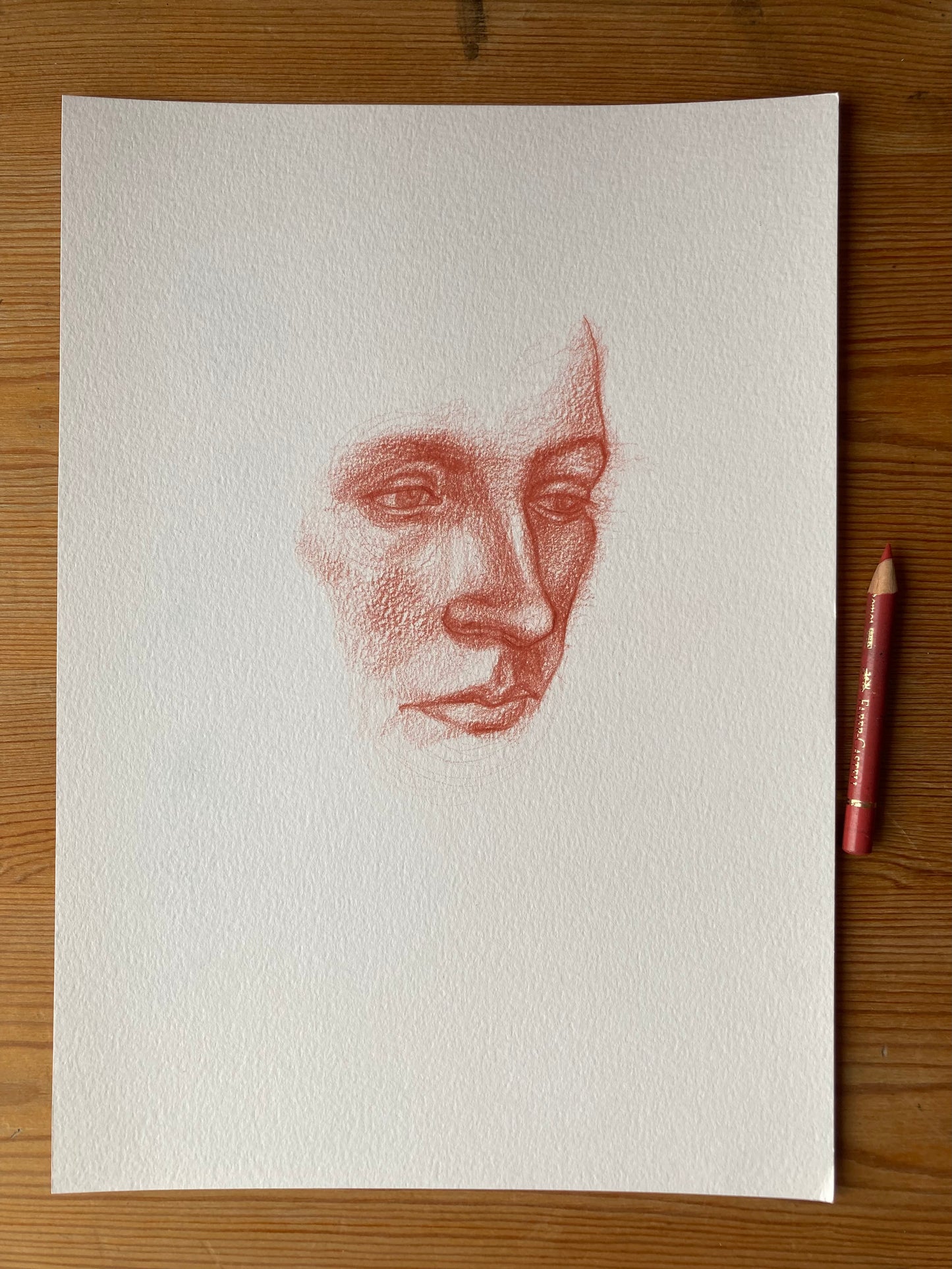 Fragment Study 4 | Coloured pencil on paper
