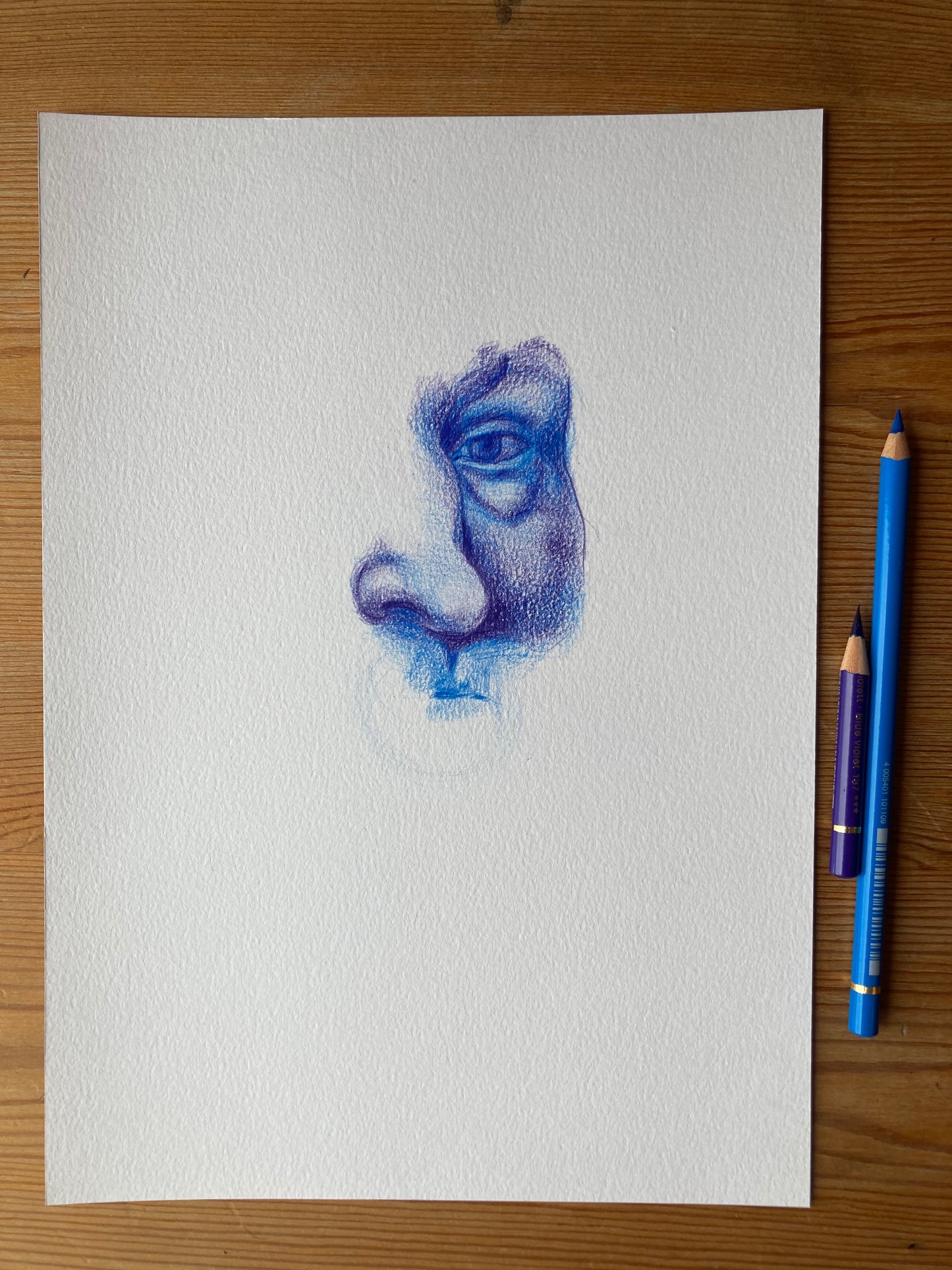 Fragment Study 7 | Coloured pencil on paper