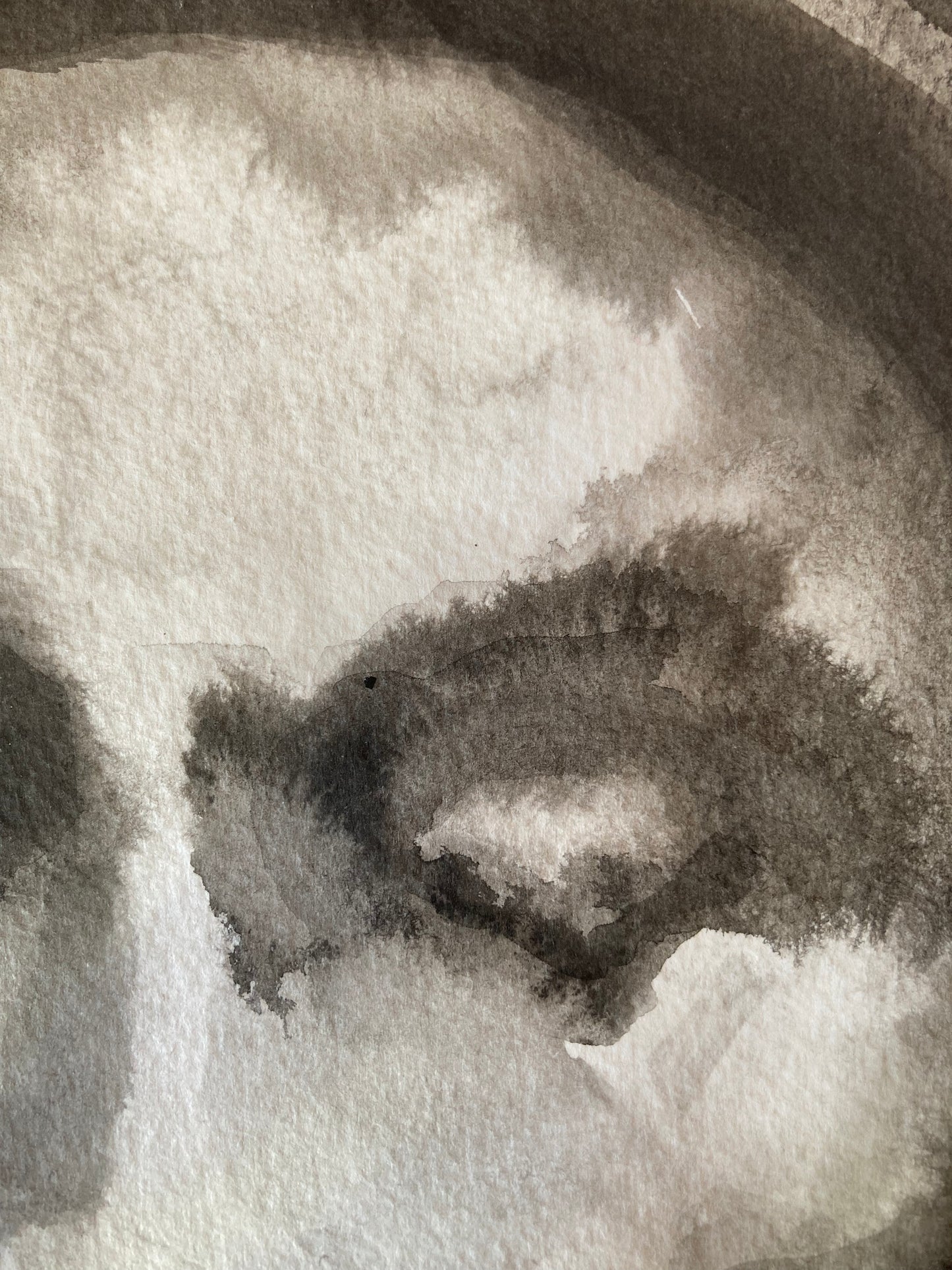 Victoria | Ink on Paper