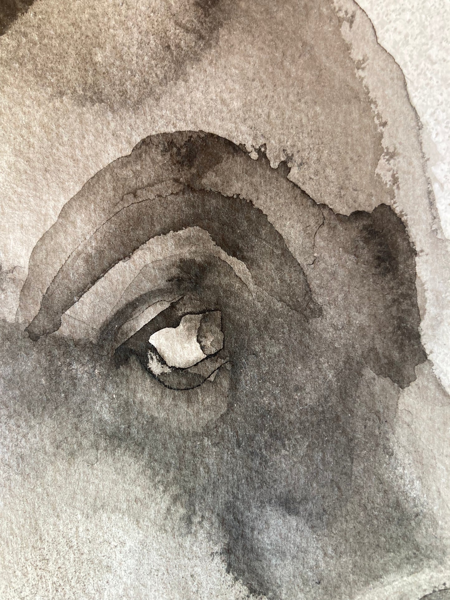 Cecilia Arabella | Ink on Paper