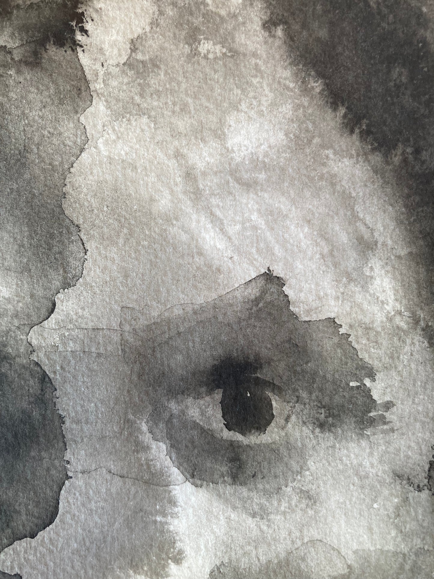 Genevieve Isabella | Ink on Paper