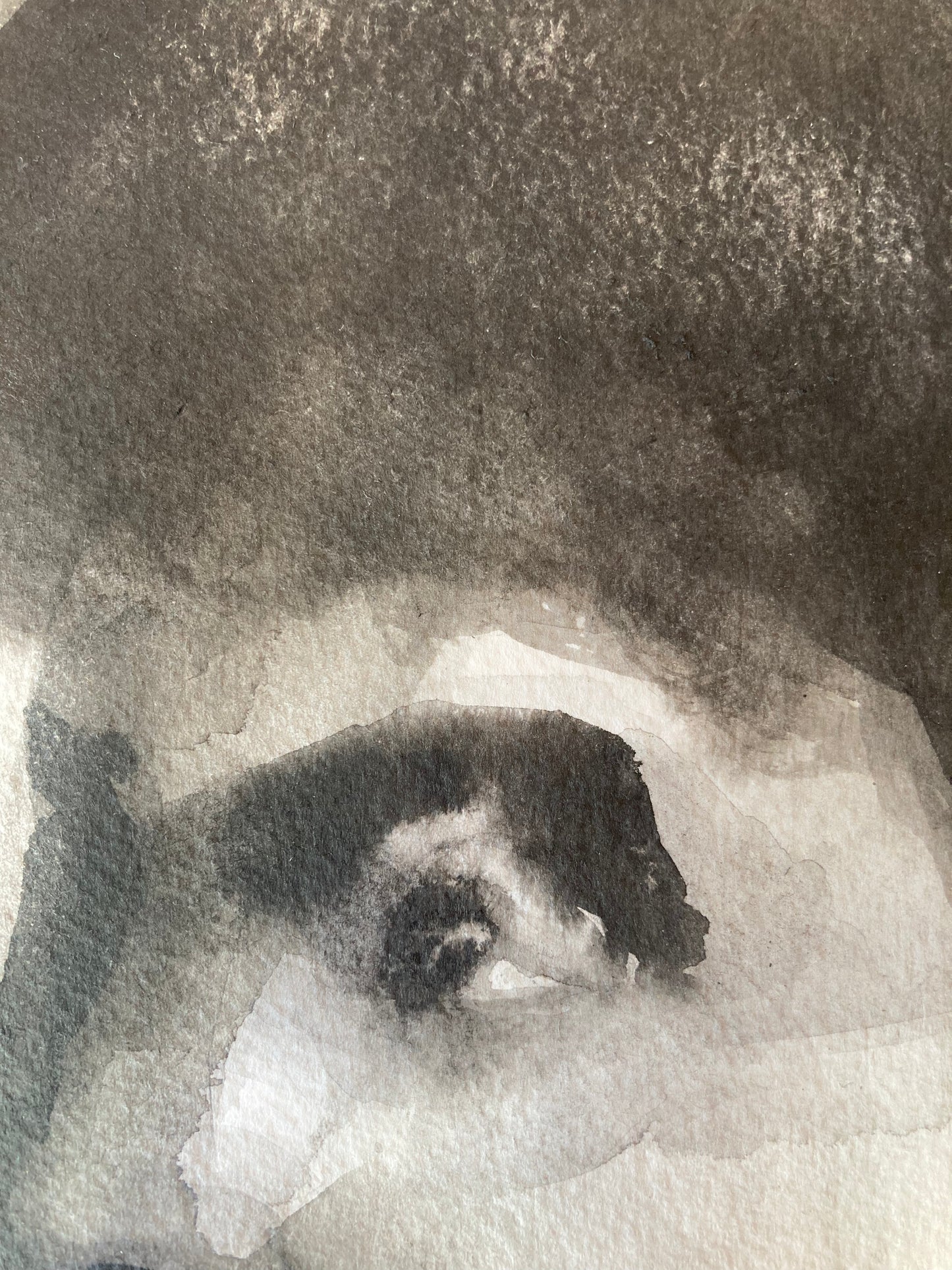 Josephine Clothilde | Ink on Paper