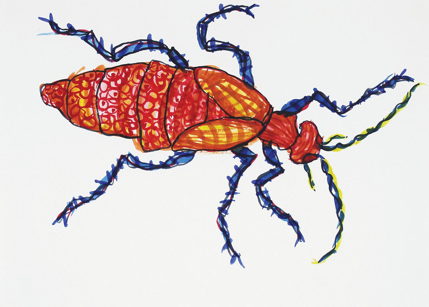 Bug Estonia Coco watercolour painting by Maria Pelton showing insect character with personality inspired by wonder