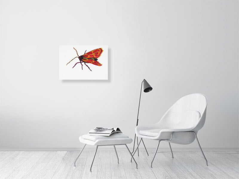 Bug Evangeline Giclée print A2 size by Maria Pelton showing insect character with personality inspired by wonder