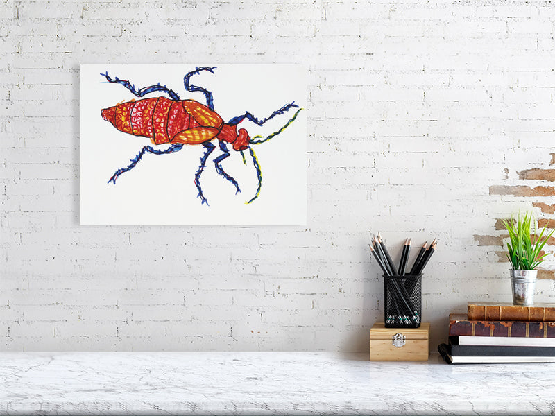 Bug Estonia Coco Giclée print A3 size by Maria Pelton showing insect character with personality inspired by wonder