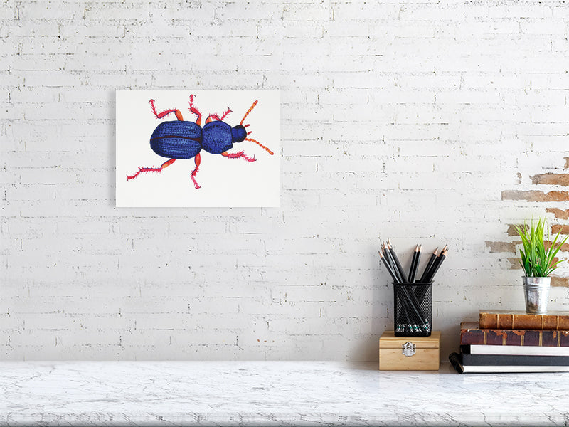 Bug Augustus Digby Giclée print A4 size by Maria Pelton showing insect character with personality inspired by wonder
