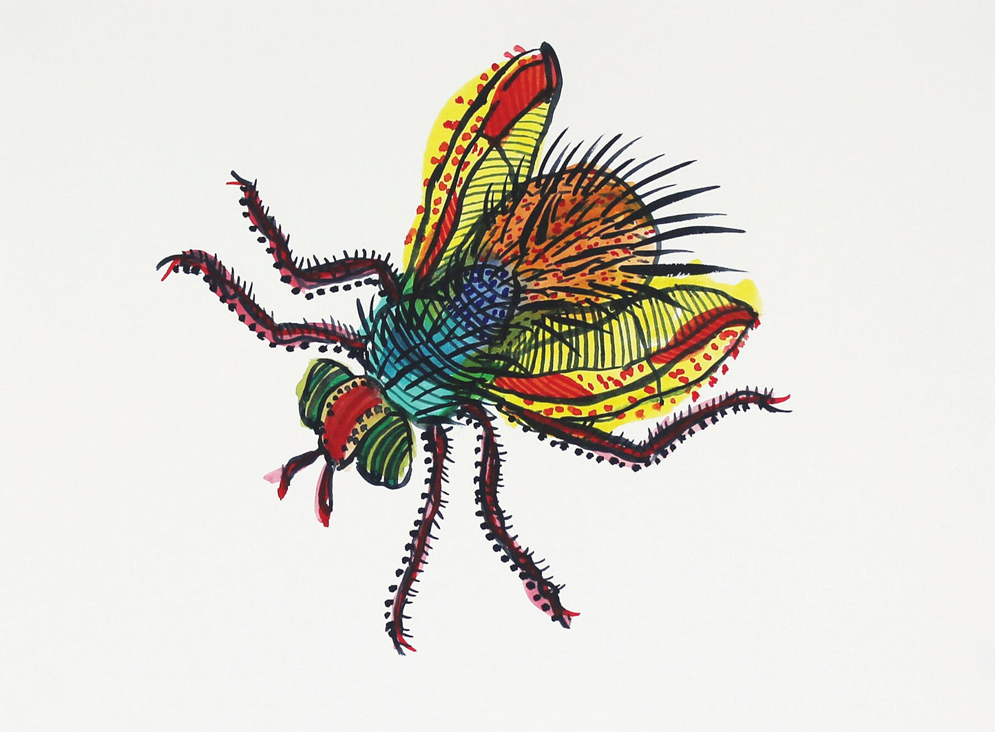 Bug Monaveen watercolour painting by Maria Pelton showing insect character with personality inspired by wonder